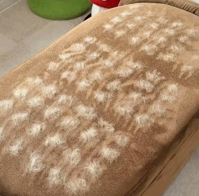 AtrapaPelos™ - Compra 1 llévate 1 gratis