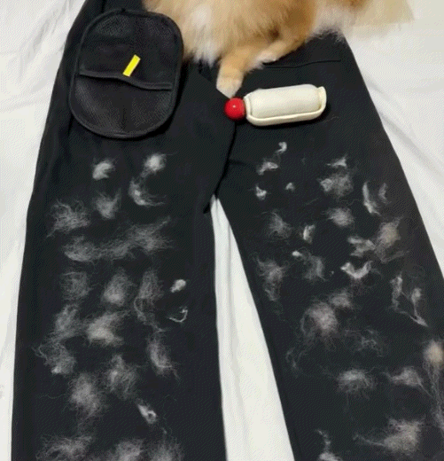 AtrapaPelos™ - Compra 1 llévate 1 gratis